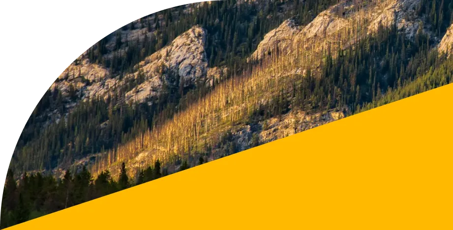 fondo-autos-banner